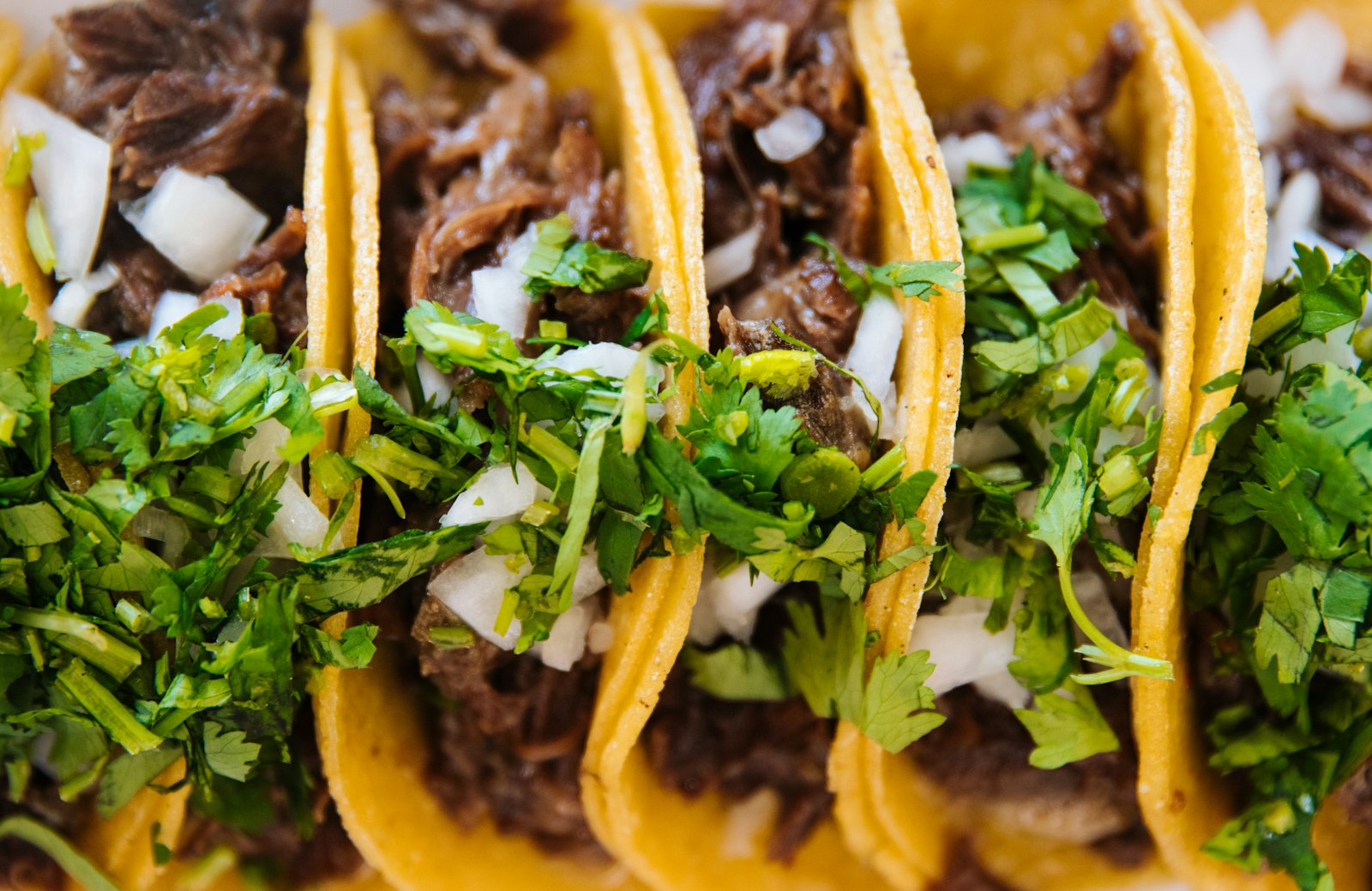 Birria tacos on corn tortillas with cilantro and onion